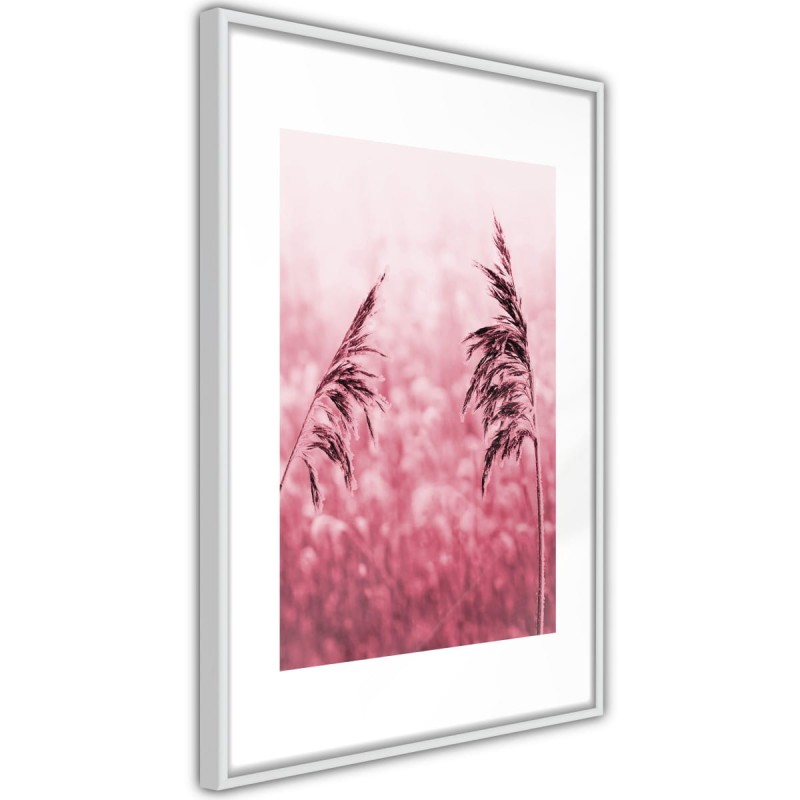 Plakat - Amarantowa łąka