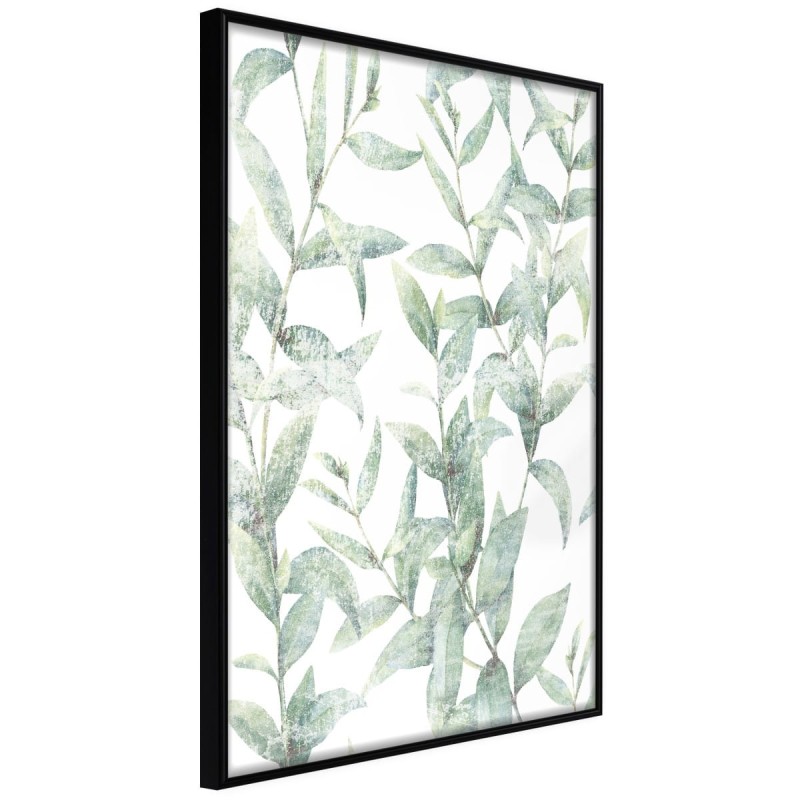 Plakat - Zwiewny batyst