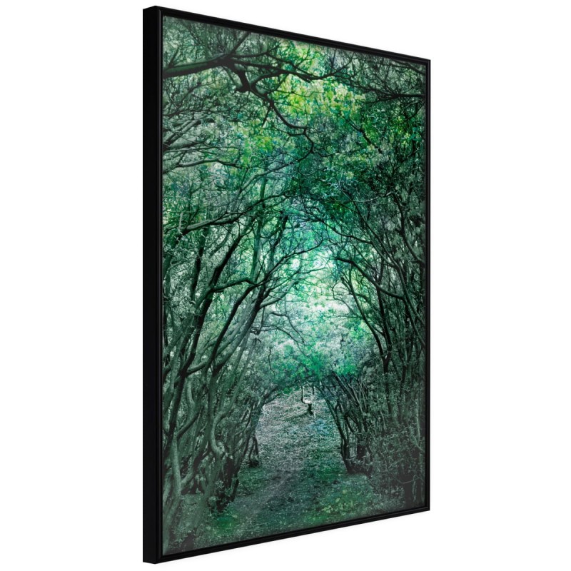 Plakat - Tunel z drzew