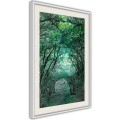 Plakat - Tunel z drzew