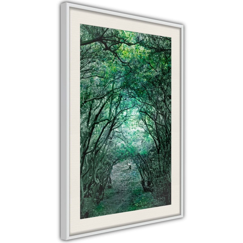 Plakat - Tunel z drzew