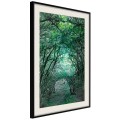 Plakat - Tunel z drzew