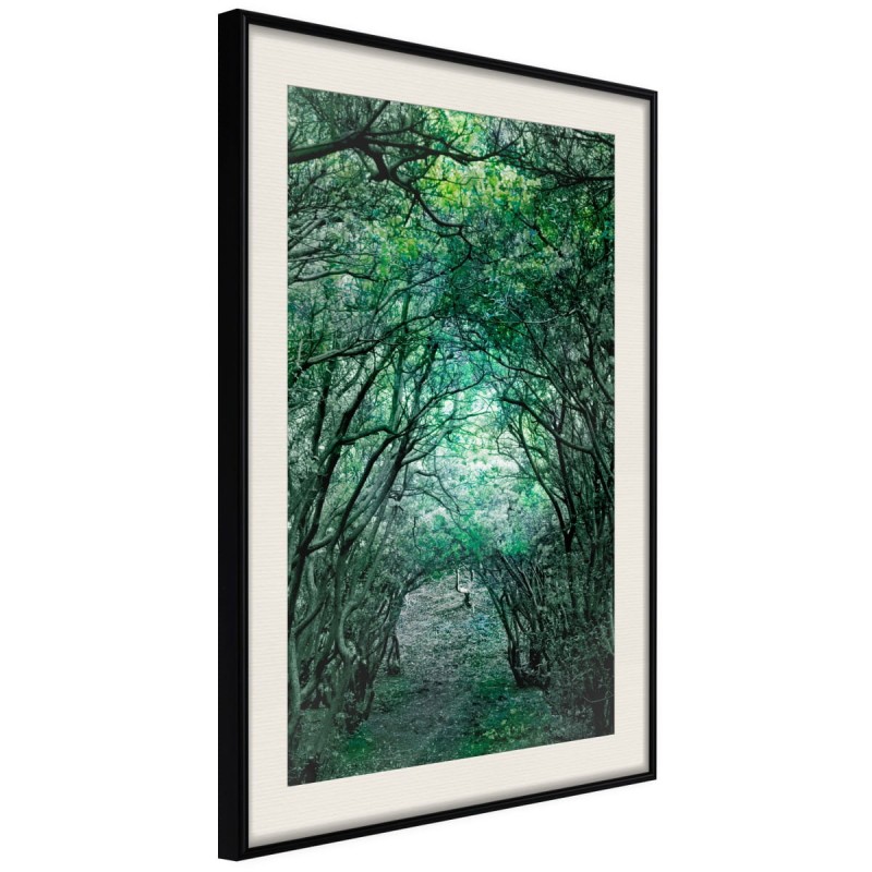 Plakat - Tunel z drzew