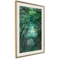 Plakat - Tunel z drzew