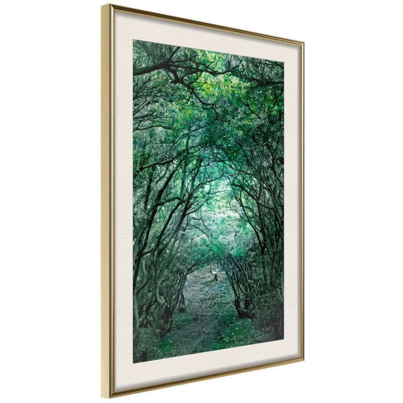 Plakat - Tunel z drzew