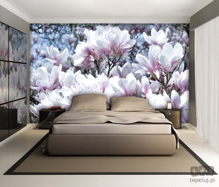 Fototapeta kwiaty magnolii