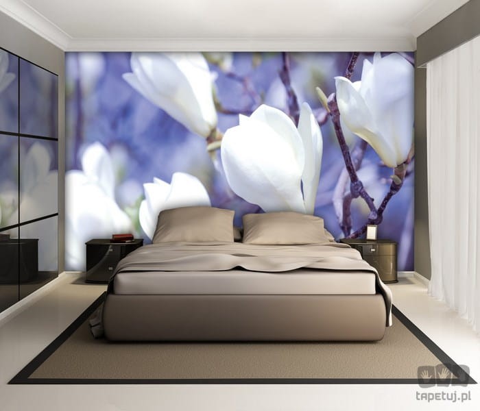 Fototapeta białe magnolie