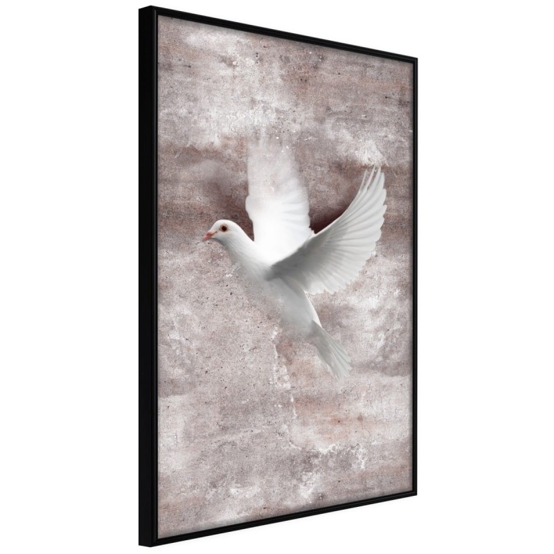 Plakat - Białe marzenia