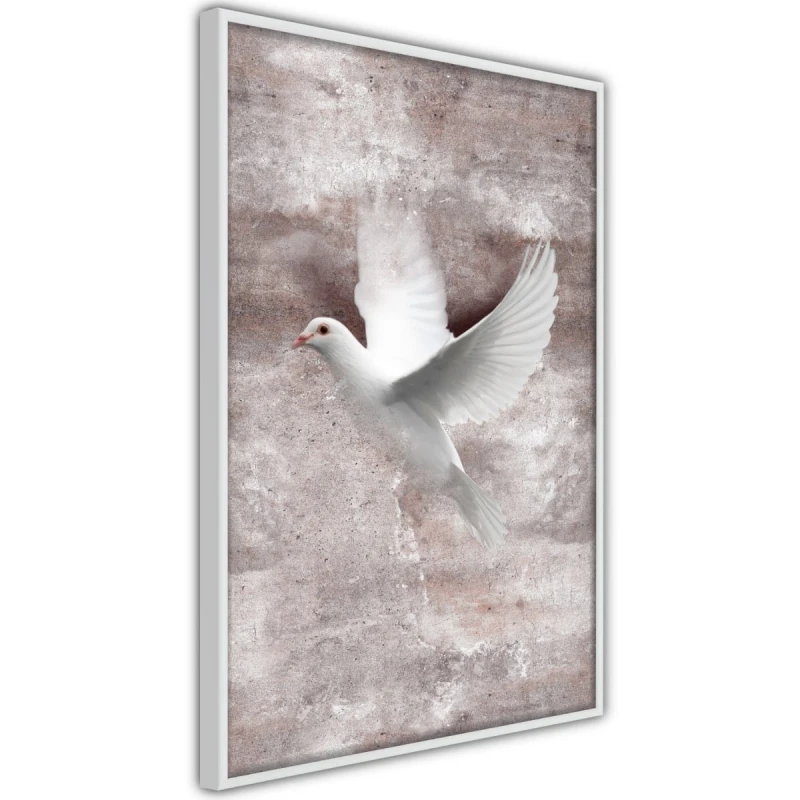 Plakat - Białe marzenia