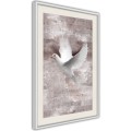 Plakat - Białe marzenia