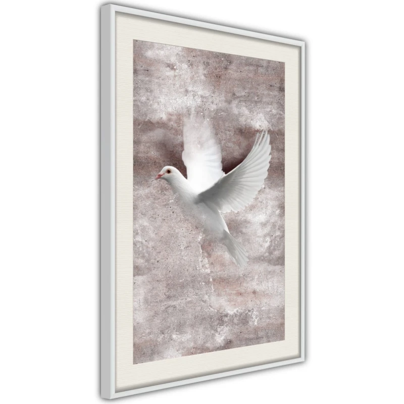 Plakat - Białe marzenia