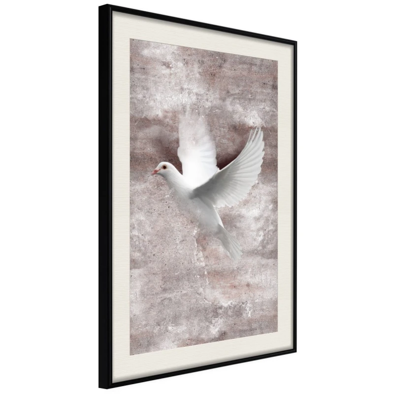 Plakat - Białe marzenia