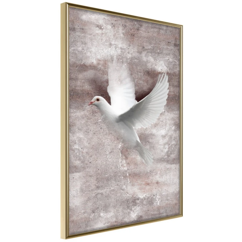 Plakat - Białe marzenia