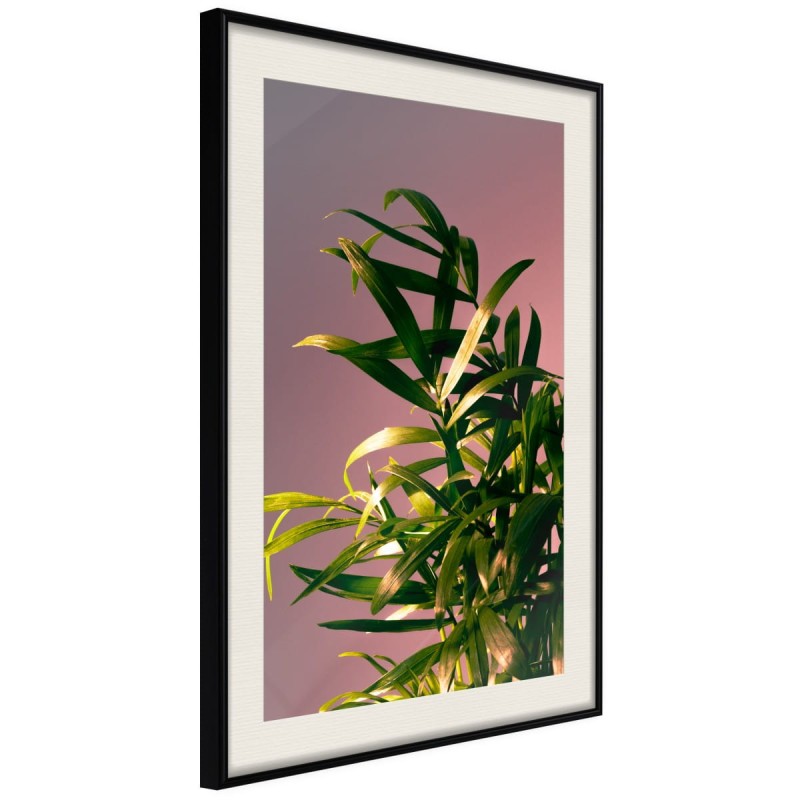 Plakat - Na tle zachodzącego słońca