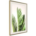 Plakat - Szum liści