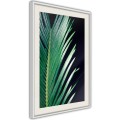 Plakat - Kojąca zieleń