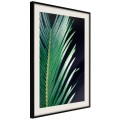 Plakat - Kojąca zieleń