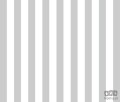 Fototapeta Szare pasy 1723