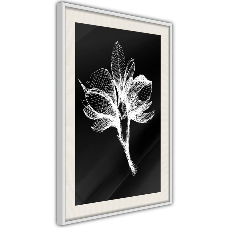 Plakat - Biała roślina