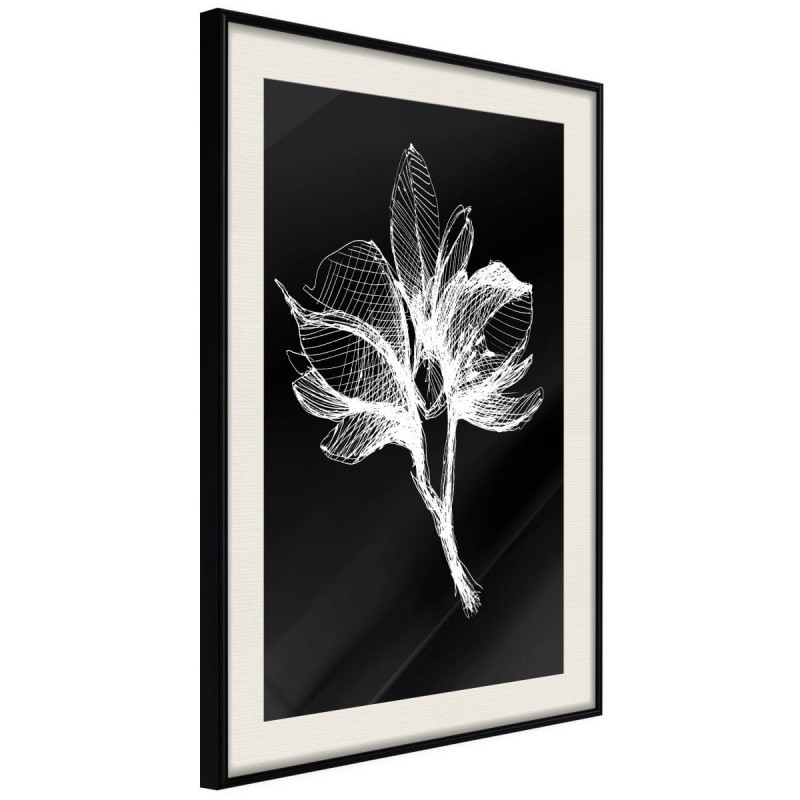 Plakat - Biała roślina