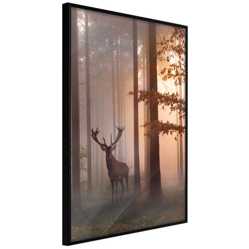 Plakat - Leśne zacisze