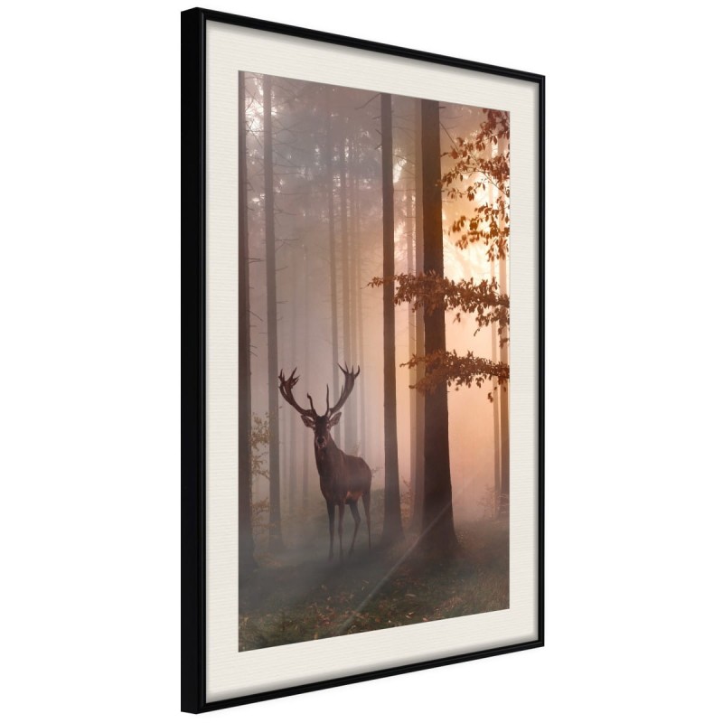 Plakat - Leśne zacisze