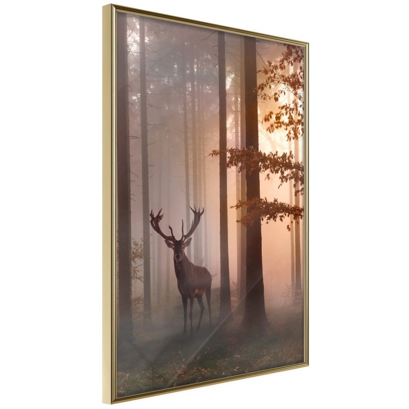 Plakat - Leśne zacisze