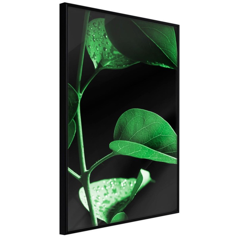 Plakat - Cisza po burzy