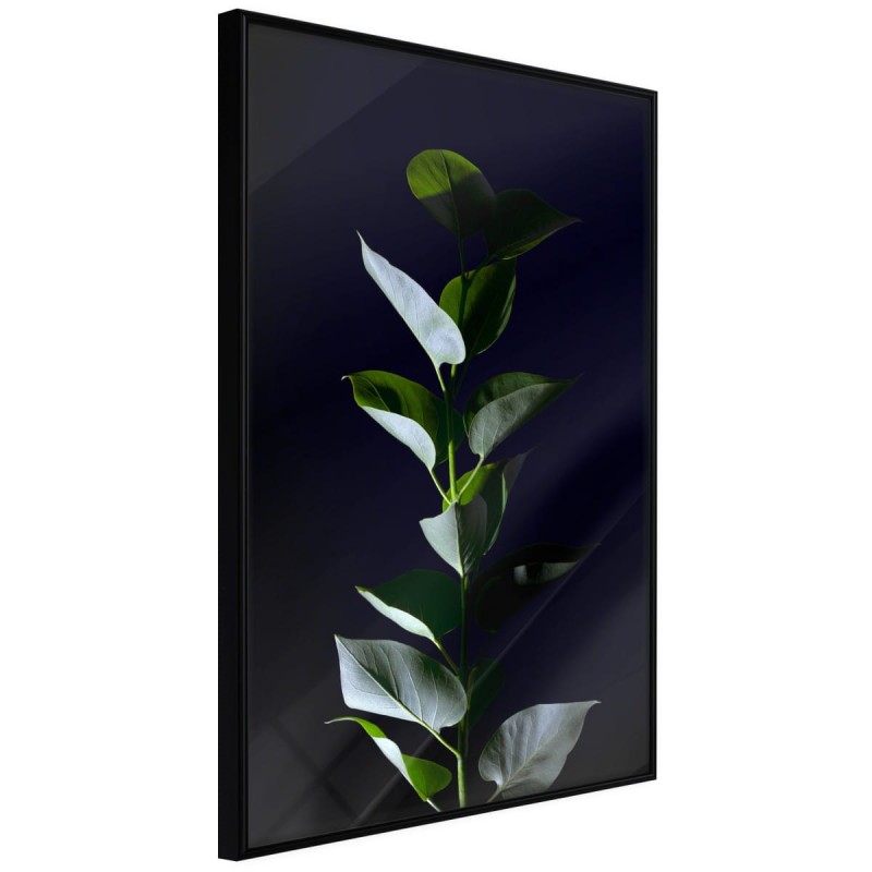 Plakat - Roślinna elegancja
