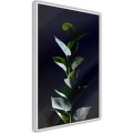 Plakat - Roślinna elegancja