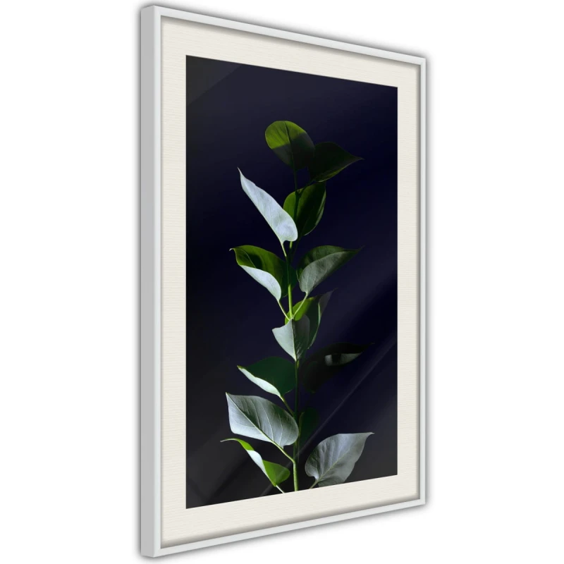 Plakat - Roślinna elegancja