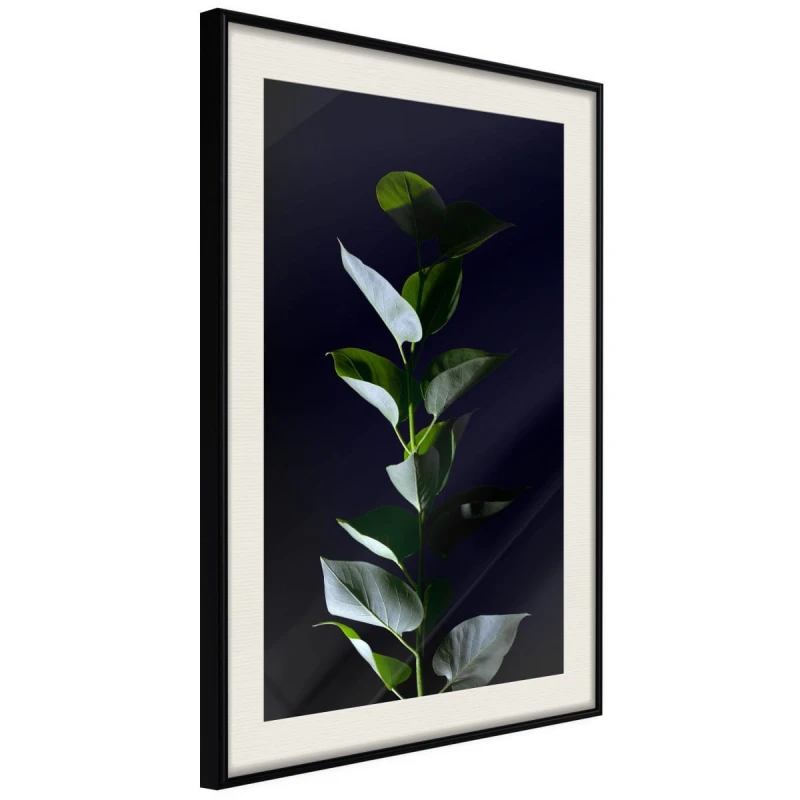 Plakat - Roślinna elegancja