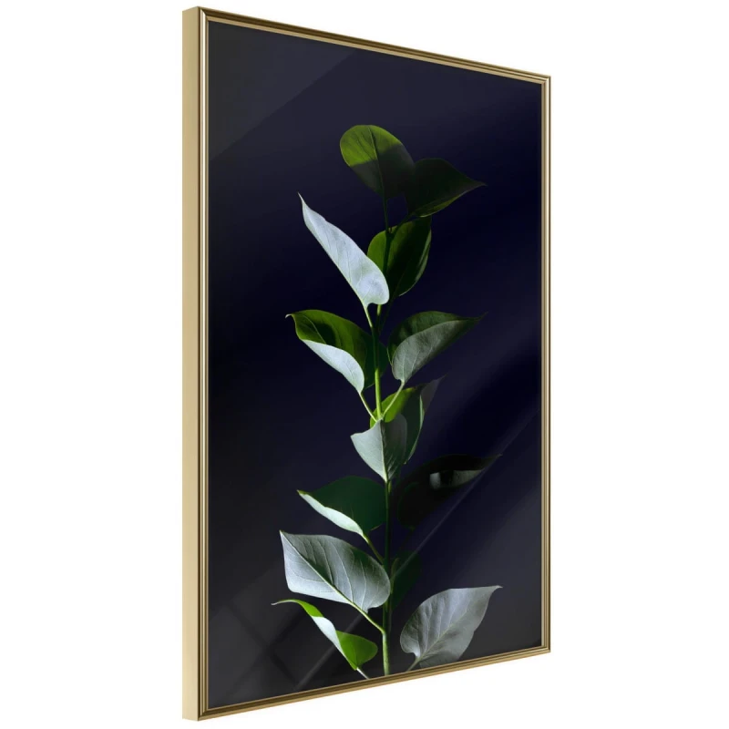Plakat - Roślinna elegancja