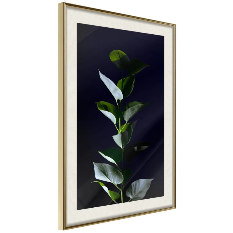 Plakat - Roślinna elegancja