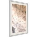 Plakat - Monstera marzeń