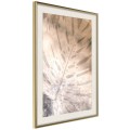Plakat - Monstera marzeń