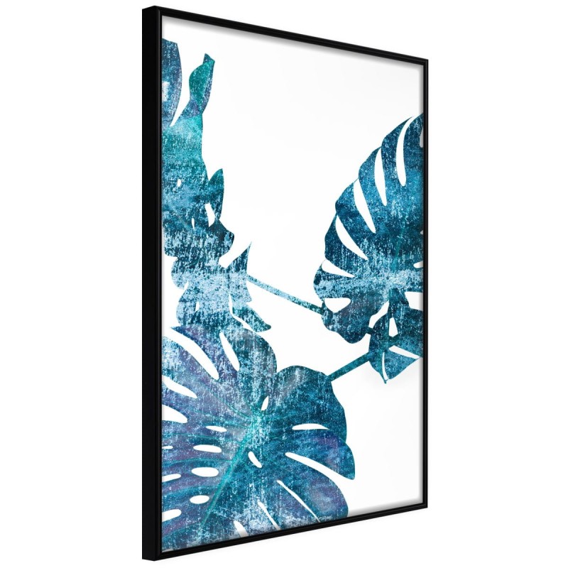 Plakat - Szafirowa monstera