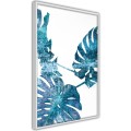 Plakat - Szafirowa monstera