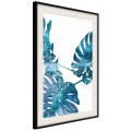 Plakat - Szafirowa monstera