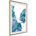 Plakat - Szafirowa monstera
