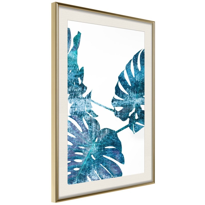 Plakat - Szafirowa monstera