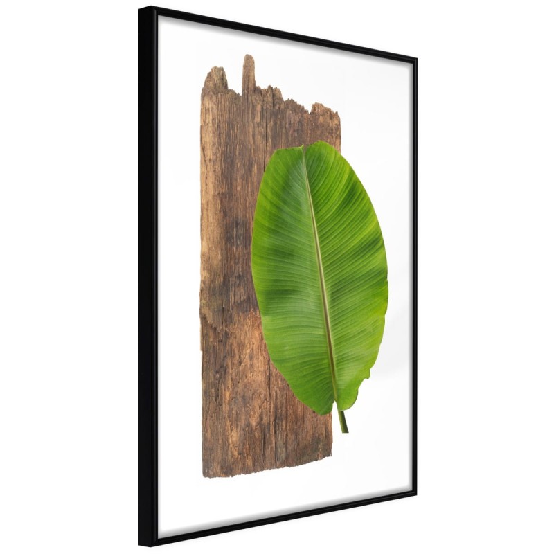 Plakat - Leśna przyroda