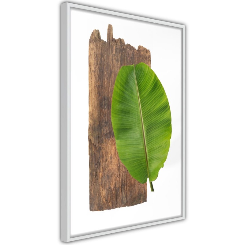 Plakat - Leśna przyroda
