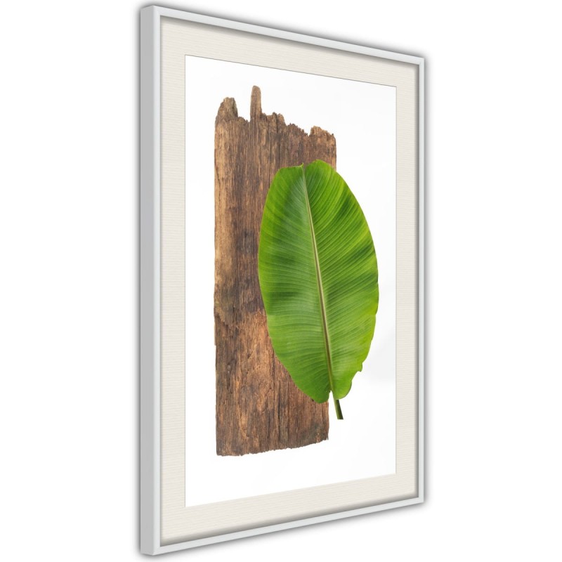 Plakat - Leśna przyroda