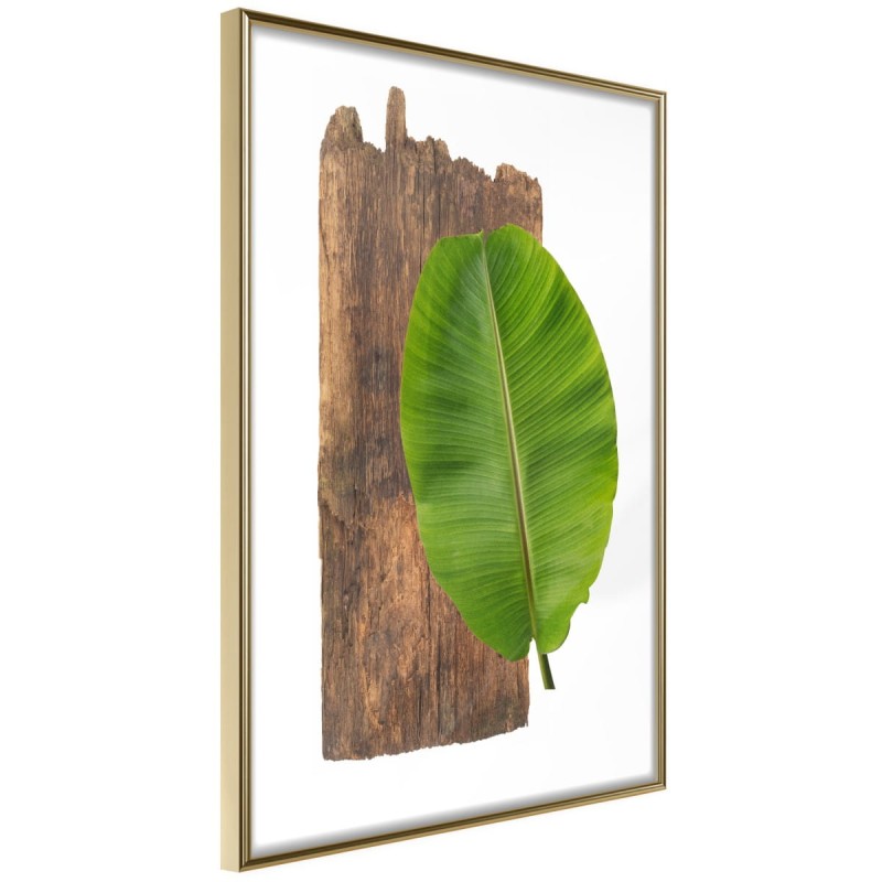 Plakat - Leśna przyroda