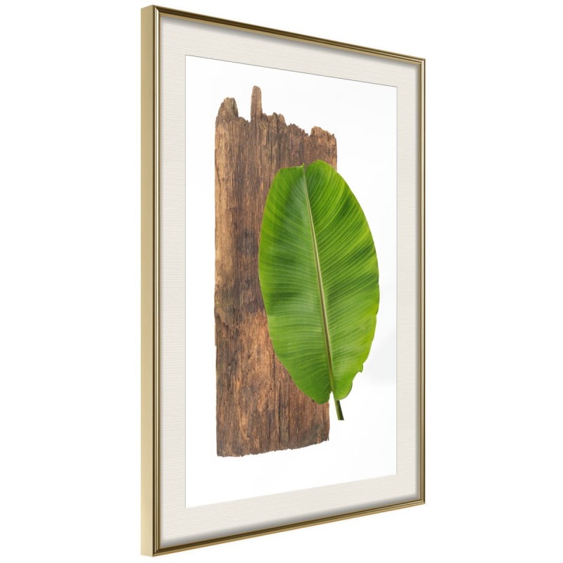 Plakat - Leśna przyroda