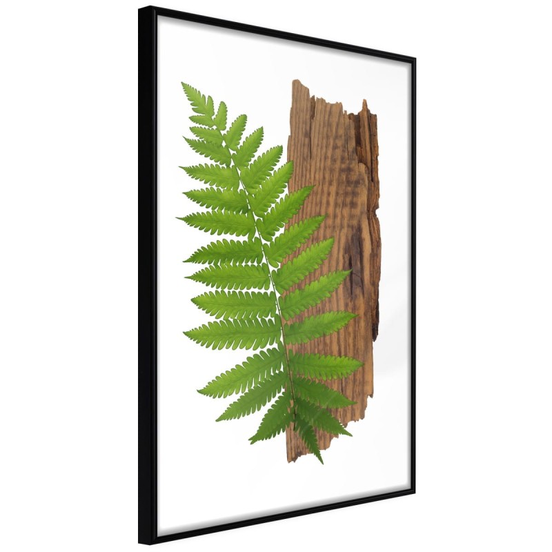 Plakat - Wyrazista paproć