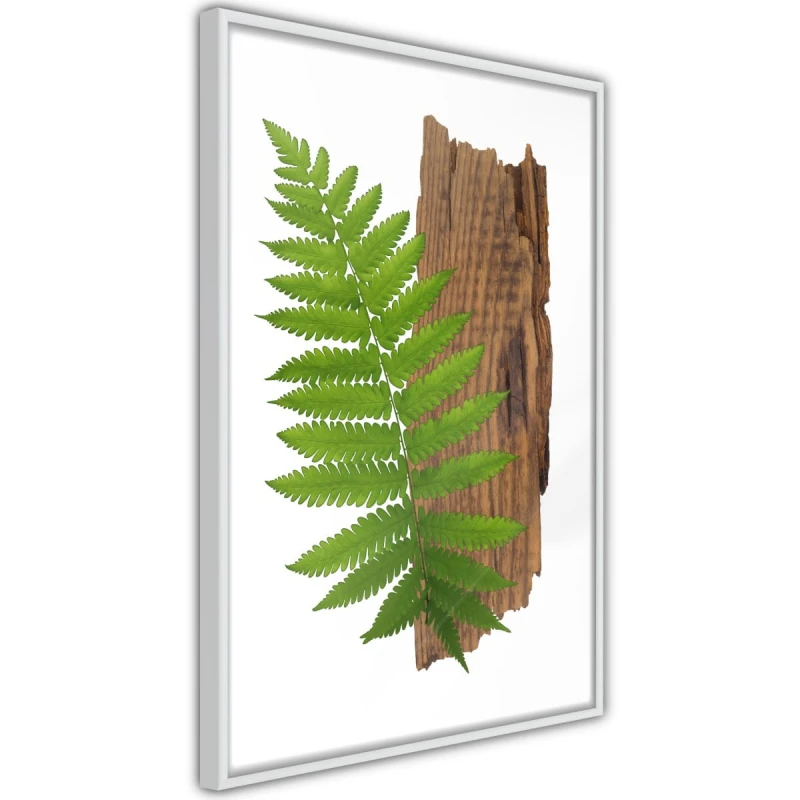 Plakat - Wyrazista paproć