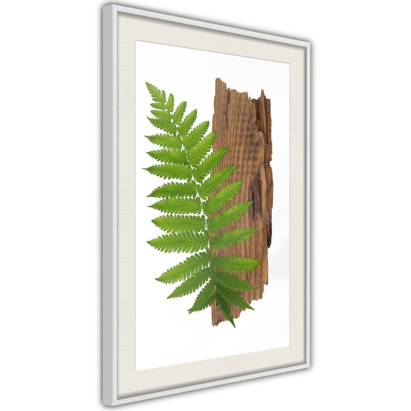 Plakat - Wyrazista paproć