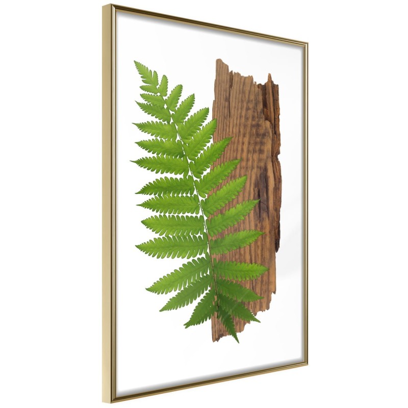 Plakat - Wyrazista paproć